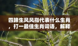 四蹄生风风指代表什么生肖，打一最佳生肖词语，解释落实词语释义