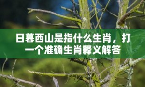 日暮西山是指什么生肖，打一个准确生肖释义解答