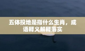 五体投地是指什么生肖，成语释义解释落实