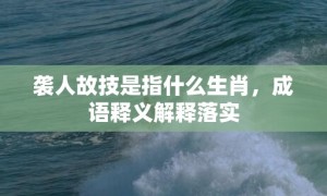 袭人故技是指什么生肖，成语释义解释落实