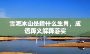 雪海冰山是指什么生肖，成语释义解释落实