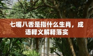 七嘴八舌是指什么生肖，成语释义解释落实