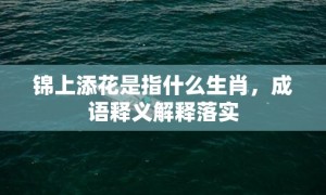 锦上添花是指什么生肖，成语释义解释落实