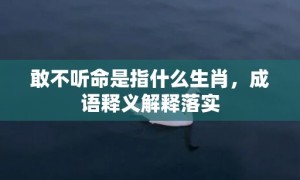 敢不听命是指什么生肖，成语释义解释落实