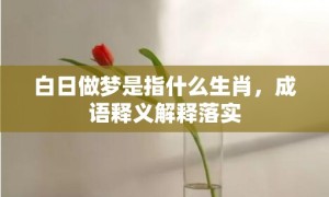 白日做梦是指什么生肖，成语释义解释落实