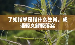 了如指掌是指什么生肖，成语释义解释落实