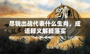 尽锐出战代表什么生肖，成语释义解释落实