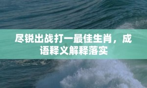 尽锐出战打一最佳生肖，成语释义解释落实