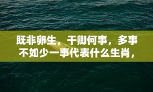 既非卵生，干卿何事，多事不如少一事代表什么生肖，成语释义解释落实