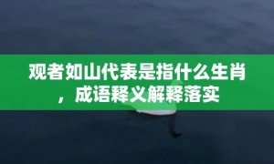 观者如山代表是指什么生肖，成语释义解释落实