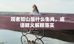 观者如山是什么生肖，成语释义解释落实