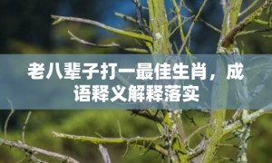 老八辈子打一最佳生肖，成语释义解释落实