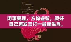 闲事莫理，方称睿智，顾好自己再发言打一最佳生肖，成语释义解释落实