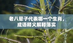 老八辈子代表哪一个生肖，成语释义解释落实