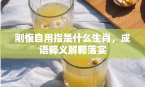 刚愎自用指是什么生肖，成语释义解释落实