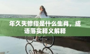 年久失修指是什么生肖，成语落实释义解释