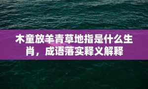 木童放羊青草地指是什么生肖，成语落实释义解释