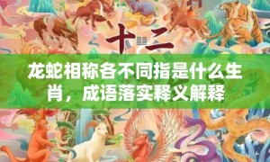 龙蛇相称各不同指是什么生肖，成语落实释义解释