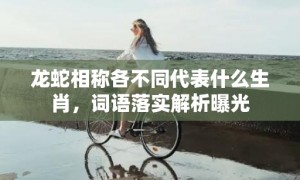 龙蛇相称各不同代表什么生肖，词语落实解析曝光