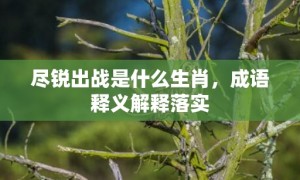 尽锐出战是什么生肖，成语释义解释落实