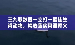 三九取数四一立打一最佳生肖动物，精选落实词语释义