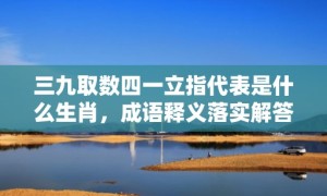 三九取数四一立指代表是什么生肖，成语释义落实解答