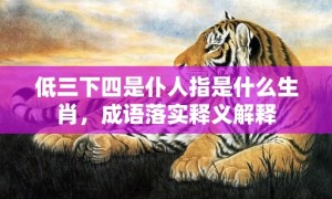 低三下四是仆人指是什么生肖，成语落实释义解释