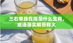 三右单珠在指是什么生肖，成语落实解答释义