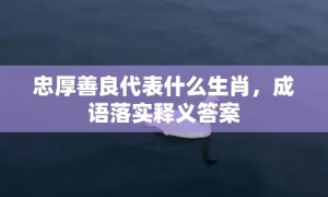 忠厚善良代表什么生肖，成语落实释义答案