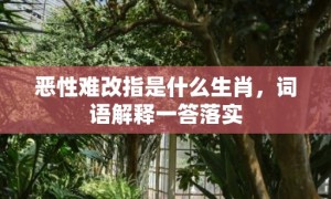 恶性难改指是什么生肖，词语解释一答落实