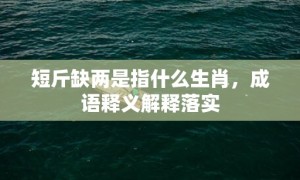 短斤缺两是指什么生肖，成语释义解释落实