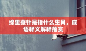 绵里藏针是指什么生肖，成语释义解释落实