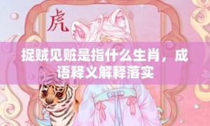 捉贼见赃是指什么生肖，成语释义解释落实