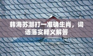 韩海苏潮打一准确生肖，词语落实释义解答