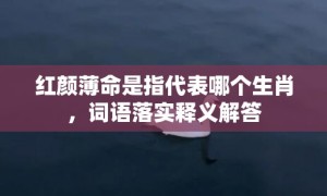 红颜薄命是指代表哪个生肖，词语落实释义解答