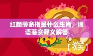 红颜薄命指是什么生肖，词语落实释义解答