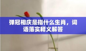 弹冠相庆是指什么生肖，词语落实释义解答