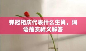 弹冠相庆代表什么生肖，词语落实释义解答