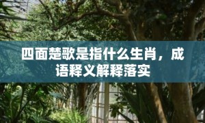 四面楚歌是指什么生肖，成语释义解释落实