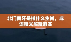 北门南牙是指什么生肖，成语释义解释落实