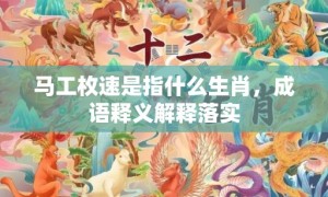 马工枚速是指什么生肖，成语释义解释落实