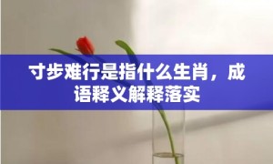 寸步难行是指什么生肖，成语释义解释落实