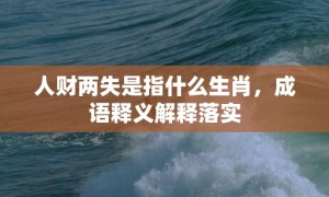 人财两失是指什么生肖，成语释义解释落实