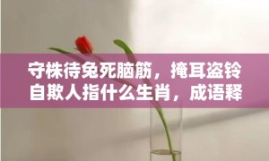 守株待兔死脑筋，掩耳盗铃自欺人指什么生肖，成语释义解释落实