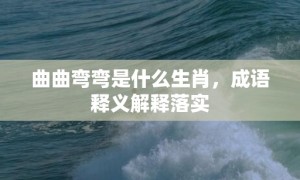 曲曲弯弯是什么生肖，成语释义解释落实