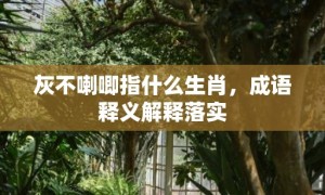 灰不喇唧指什么生肖，成语释义解释落实