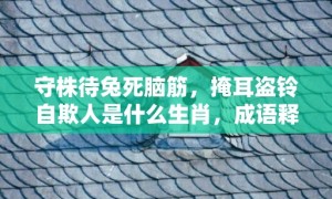 守株待兔死脑筋，掩耳盗铃自欺人是什么生肖，成语释义解释落实