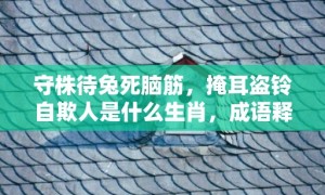 守株待兔死脑筋，掩耳盗铃自欺人是什么生肖，成语释义解释落实