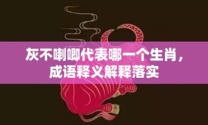 灰不喇唧代表哪一个生肖，成语释义解释落实