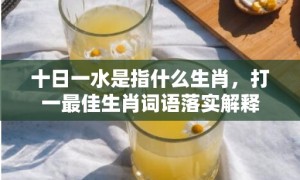 十日一水是指什么生肖，打一最佳生肖词语落实解释